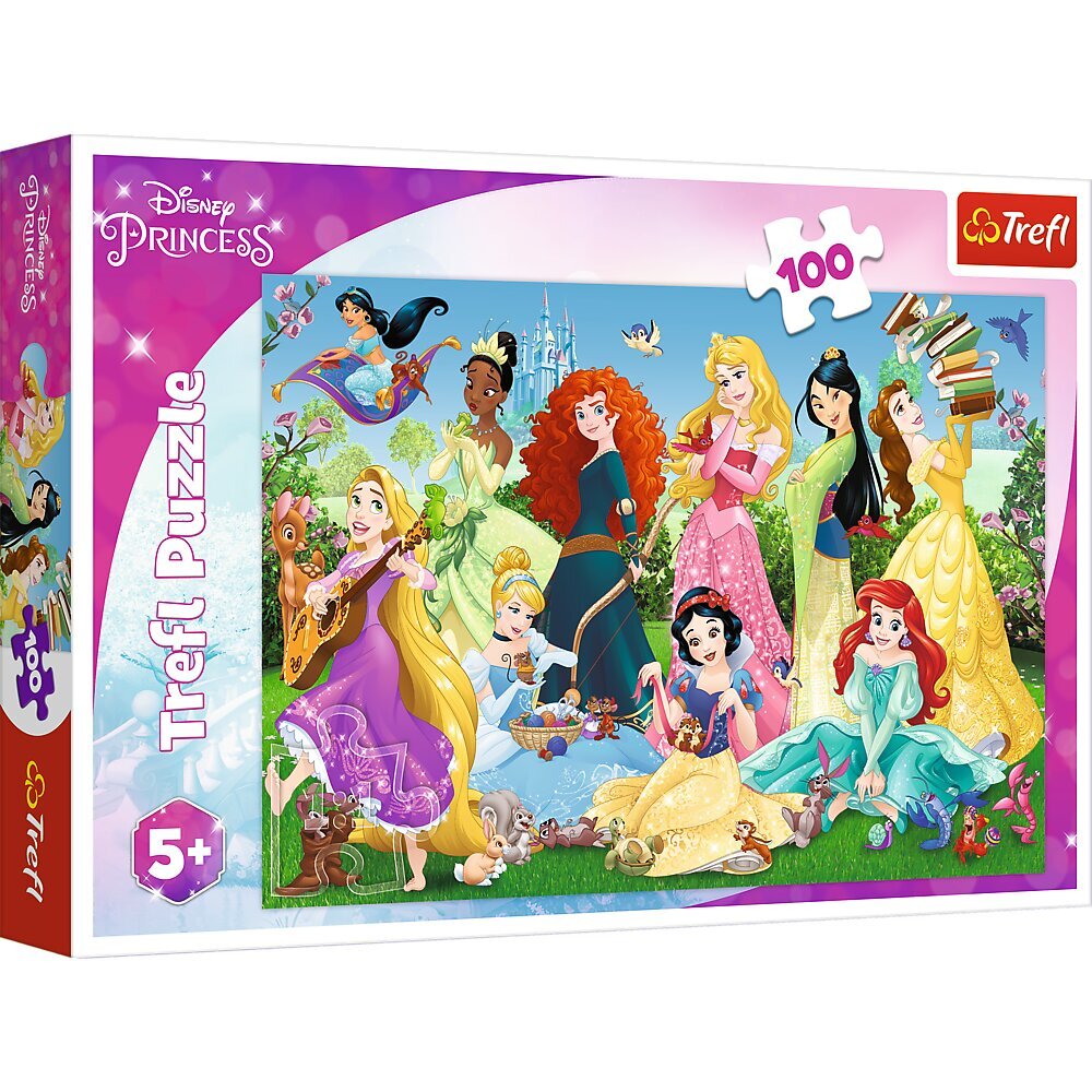 Trefl Disney Princess dėlionė Princesės, 100 det. kaina ir informacija | Dėlionės (puzzle) | pigu.lt