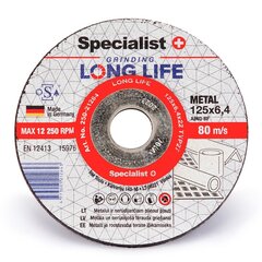 Šlifavimo diskas Long Life, 125x6,4x22 mm kaina ir informacija | Mechaniniai įrankiai | pigu.lt