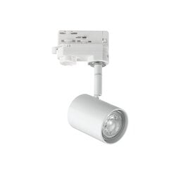 Настенный светильник Flash_AP1_Cromo цена и информация | Люстры | pigu.lt