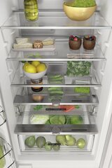Холодильник NERA TEKSTO цена и информация | Холодильники | pigu.lt