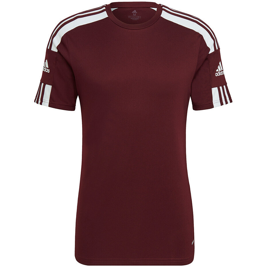 Vyriška palaidinė trumpomis rankovėmis Adidas Squadra 21 Jersey GN8091, bordo spalvos kaina ir informacija | Futbolo apranga ir kitos prekės | pigu.lt