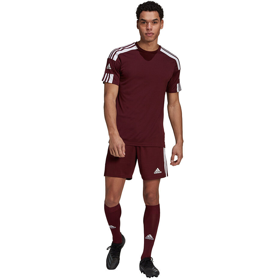 Vyriška palaidinė trumpomis rankovėmis Adidas Squadra 21 Jersey GN8091, bordo spalvos kaina ir informacija | Futbolo apranga ir kitos prekės | pigu.lt