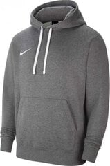 Nike свитер мужской, серый цена и информация | Мужские толстовки | pigu.lt