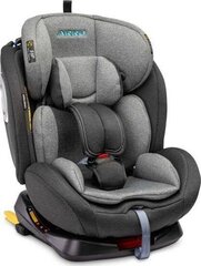 Automobilinė kėdutė Caretero Arro 0-36 kg, Grey kaina ir informacija | Caretero Kūdikių prekės | pigu.lt