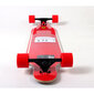 Riedlentė Ferrari Longboard FBW15, 100 cm kaina ir informacija | Riedlentės | pigu.lt