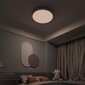 Yeelight Arwen Ceiling Light 550S kaina ir informacija | Lubiniai šviestuvai | pigu.lt