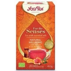 Natural Wellbeing Yogi Tea чай с эфирными маслами , 20 шт. цена и информация | Чай | pigu.lt