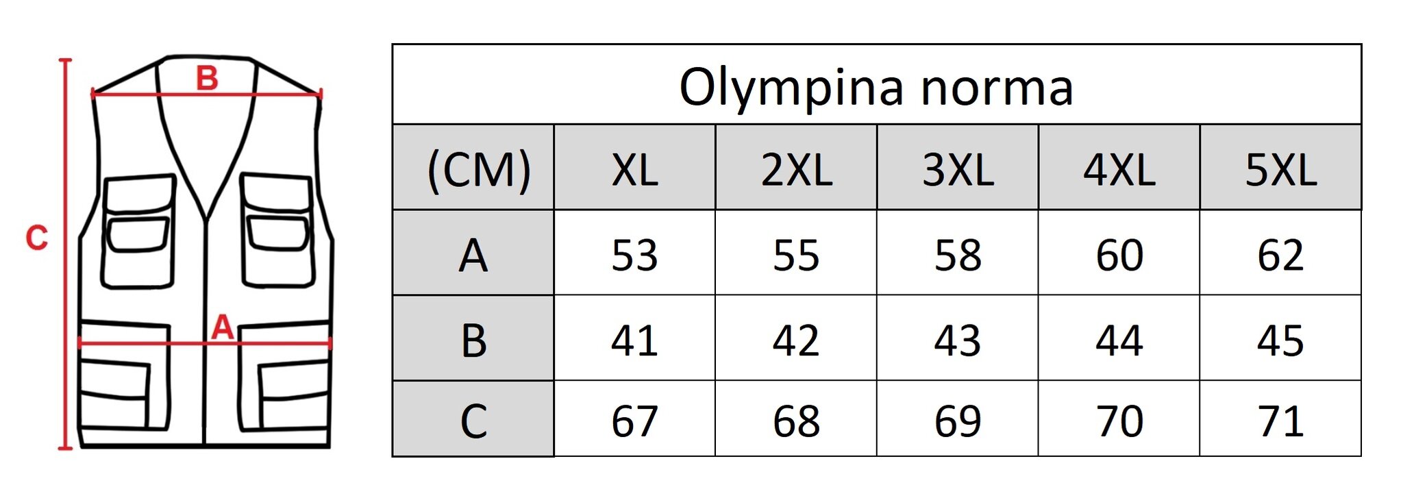 Liemenė vyrams Olympina 2303-MC 305 цена и информация | Vyriškos liemenės | pigu.lt