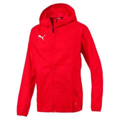 Striukė vyrams Puma LIGA Training Rain Jacket 65530401 kaina ir informacija | Vyriškos striukės | pigu.lt