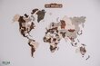 Medinis pasaulio žemėlapis kaina ir informacija | Reprodukcijos, paveikslai | pigu.lt