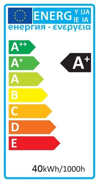 LED prožektorius su stovu Avide 2x20W 4K 3200lm kaina ir informacija | Žibintuvėliai, prožektoriai | pigu.lt