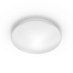 Moire светильник 6W 2700K цена и информация | Потолочные светильники | pigu.lt