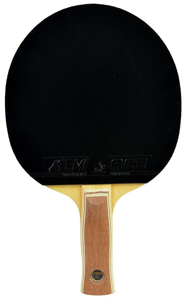 Stalo teniso raketė Atemi 3000 Carbon kaina ir informacija | Stalo teniso raketės, dėklai ir rinkiniai | pigu.lt
