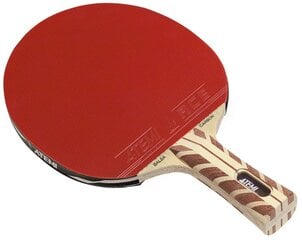 Ракетка для настольного тенниса Atemi 5000 Balsa Carbon цена и информация | Ракетки для настольного тенниса, чехлы и наборы | pigu.lt