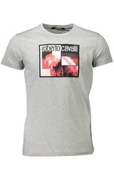 Marškinėliai vyrams Roberto Cavalli, pilki kaina ir informacija | Vyriški marškinėliai | pigu.lt