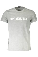 Футболка мужская Diesel, серая цена и информация | Мужские футболки | pigu.lt