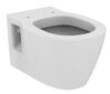 Komplektas: pakabinamas klozetas Ideal Standard WC Connect RIM, lėtai nusileidžiantis dangtis, rėmas Prosys Eco WC, baltas mygtukas E803501 / E772401 / E2332AC kaina ir informacija | Klozetai | pigu.lt