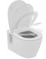 Komplektas: pakabinamas klozetas Ideal Standard WC Connect RIM, lėtai nusileidžiantis dangtis, rėmas Prosys Eco WC, baltas mygtukas E803501 / E772401 / E2332AC kaina ir informacija | Klozetai | pigu.lt