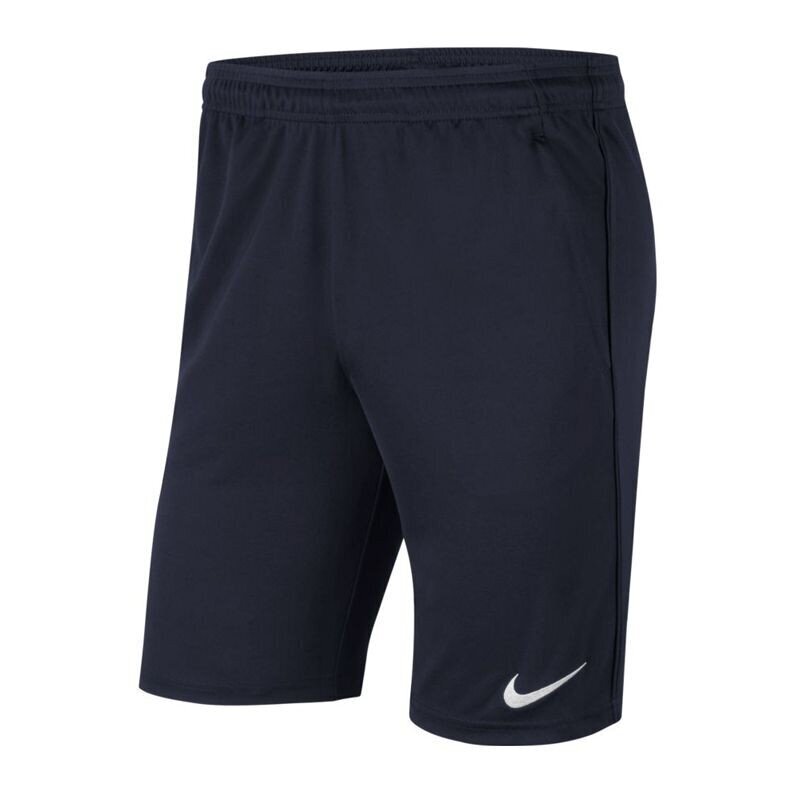 Sportiniai šortai vyrams Nike Dri-FIT Park 20 M CW6152-451, mėlyni kaina ir informacija | Sportinė apranga vyrams | pigu.lt