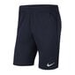 Sportiniai šortai vyrams Nike Dri-FIT Park 20 M CW6152-451, mėlyni kaina ir informacija | Sportinė apranga vyrams | pigu.lt