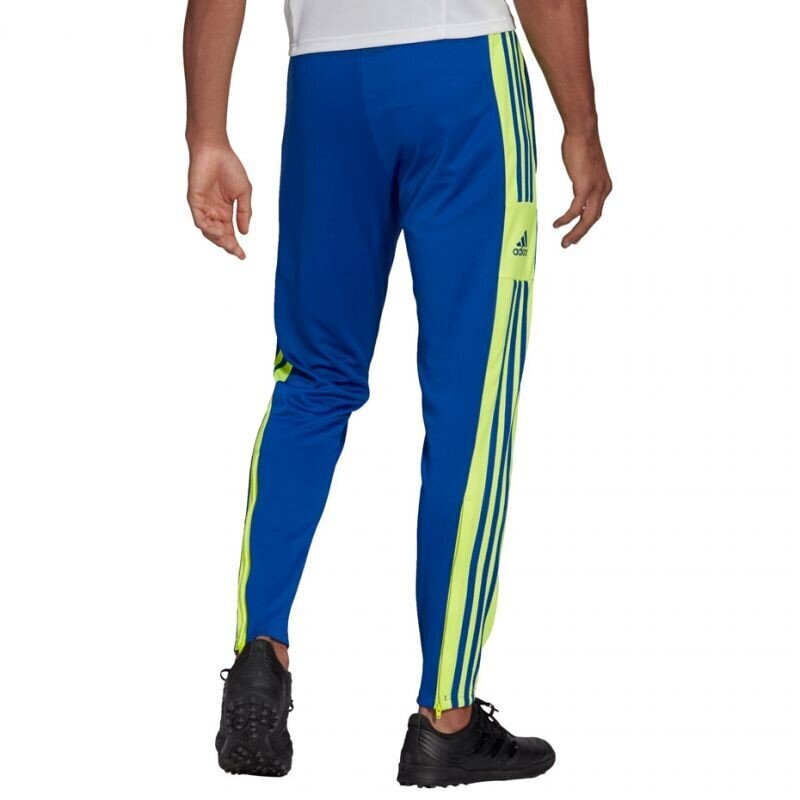 Sportinės kelnės vyrams Adidas Squadra 21 Training Pant M GP6451 цена и информация | Sportinė apranga vyrams | pigu.lt