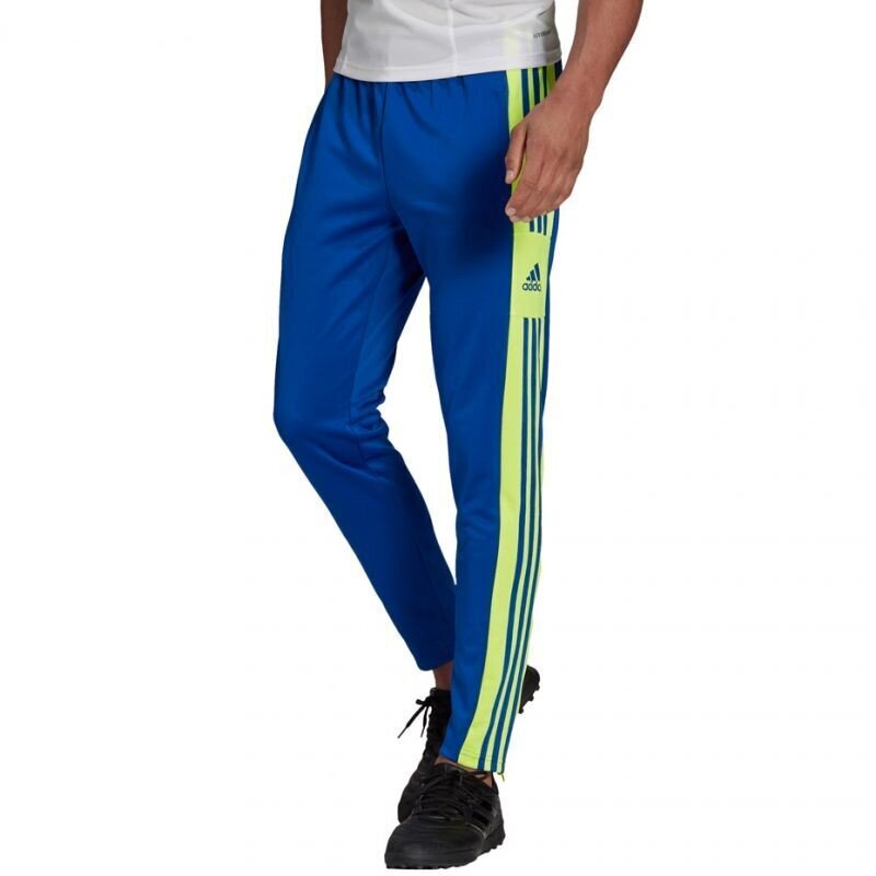 Sportinės kelnės vyrams Adidas Squadra 21 Training Pant M GP6451 цена и информация | Sportinė apranga vyrams | pigu.lt