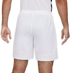 Nike спортивные шорты мужские Dri-FIT Academy M CW6107-100, белые цена и информация | Мужская спортивная одежда | pigu.lt