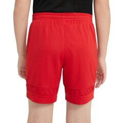 Спортивные шорты для мальчиков Nike Dry Academy 21 Short Junior CW6109-657, красные цена и информация | Шорты для мальчиков | pigu.lt