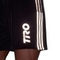 Sportiniai šortai vyrams Adidas Tiro Short Reflective Wording M GQ1038 kaina ir informacija | Sportinė apranga vyrams | pigu.lt