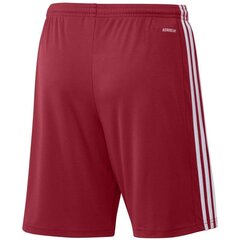 Мужские спортивные шорты Adidas Squadra 21 Short M, красные цена и информация | Мужская спортивная одежда | pigu.lt