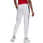 Sportinės kelnės moterims Adidas Tiro Trackpant Pants W GN5493 kaina ir informacija | Sportinė apranga moterims | pigu.lt