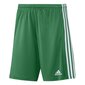 Sportiniai šortai vyrams Adidas Squadra 21 Short M GN5769, žali kaina ir informacija | Sportinė apranga vyrams | pigu.lt