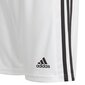 Sportiniai šortai vyrams Adidas Squadra 21 Short Youth Jr GN5766 kaina ir informacija | Šortai berniukams | pigu.lt