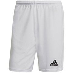 Sportiniai šortai vyrams Adidas Squadra 21 Short M GN5774 kaina ir informacija | Sportinė apranga vyrams | pigu.lt