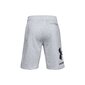 Šortai vyrams Under Armor Rival Fleece Big Logo Shorts M 1357118-011, pilki kaina ir informacija | Sportinė apranga vyrams | pigu.lt