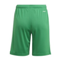 Спортивные шорты для мальчиков Adidas Squadra 21 Short Y Jr GN5762 цена и информация | Шорты для мальчиков | pigu.lt