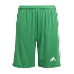 Спортивные шорты для мальчиков Adidas Squadra 21 Short Y Jr GN5762 цена и информация | Шорты для мальчиков | pigu.lt