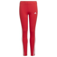 Sportinės tamprės mergaitėms Essentials Leggins Jr GN4067 kaina ir informacija | Kelnės mergaitėms | pigu.lt