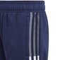 Sportiniai šortai berniukams Adidas Tiro 21 Sweat Short Jr GK9679 kaina ir informacija | Šortai berniukams | pigu.lt