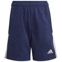 Спортивные шорты для мальчиков Adidas Tiro 21 Sweat Short Jr GK9679 цена и информация | Шорты для мальчиков | pigu.lt