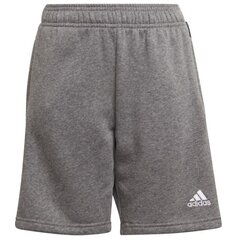Спортивные шорты для мальчиков Adidas Tiro 21 Sweat Short Jr GP8806 цена и информация | Шорты для мальчиков | pigu.lt