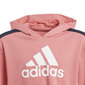 Sportinis kostiumas mergaitėms Adidas, rožinis цена и информация | Komplektai mergaitėms | pigu.lt