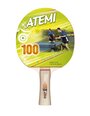 Atemi Ракетки для настольного тенниса, чехлы и наборы по интернету