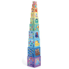 Кубики-пирамида Djeco DJ08510 «Радуга» цена и информация | Игрушки для малышей | pigu.lt