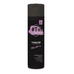 Dažomasis plaukų šampūnas Acme TinColor Shampoo, 250 ml kaina ir informacija | Plaukų dažai | pigu.lt