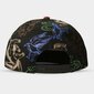 Difuzed Snapback Cap: Harry Potter - Houses kaina ir informacija | Žaidėjų atributika | pigu.lt