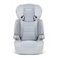 Automobilinė kėdutė Ricokids Sandro, 15-36 kg, grey kaina ir informacija | Autokėdutės | pigu.lt