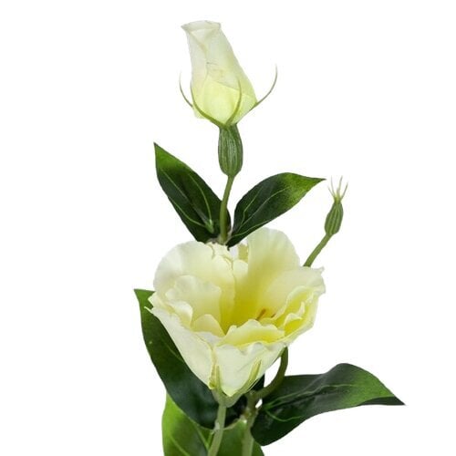 Dirbtinė gėlė eustomų šakelė kaina ir informacija | Dirbtinės gėlės | pigu.lt