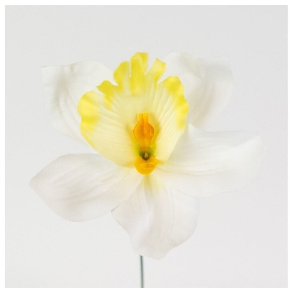 Dirbtinis orchidėjos žiedas, 12 vnt. kaina ir informacija | Dirbtinės gėlės | pigu.lt