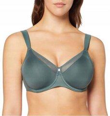 Liemenėlė moterims Triumph True Shape Sensation W01 kaina ir informacija | Liemenėlės | pigu.lt